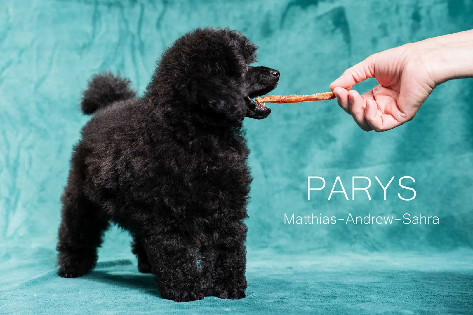 Parys[13]-Edytuj