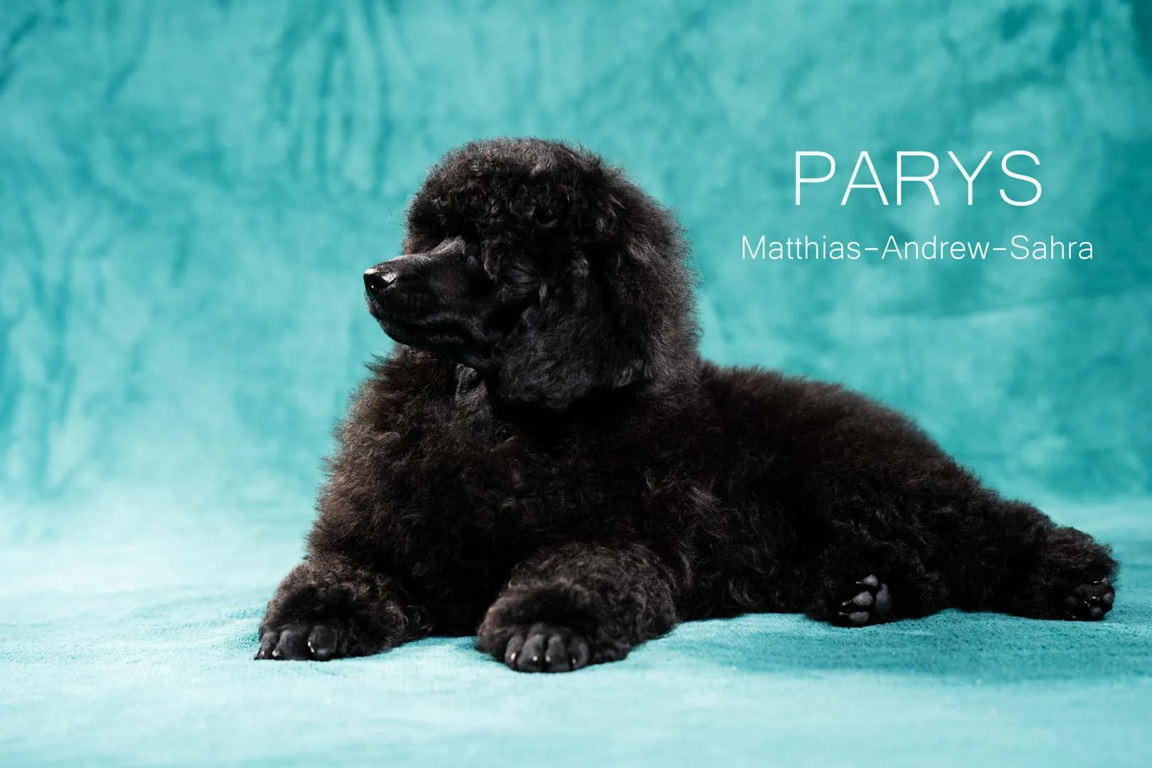 Parys[46]-Edytuj