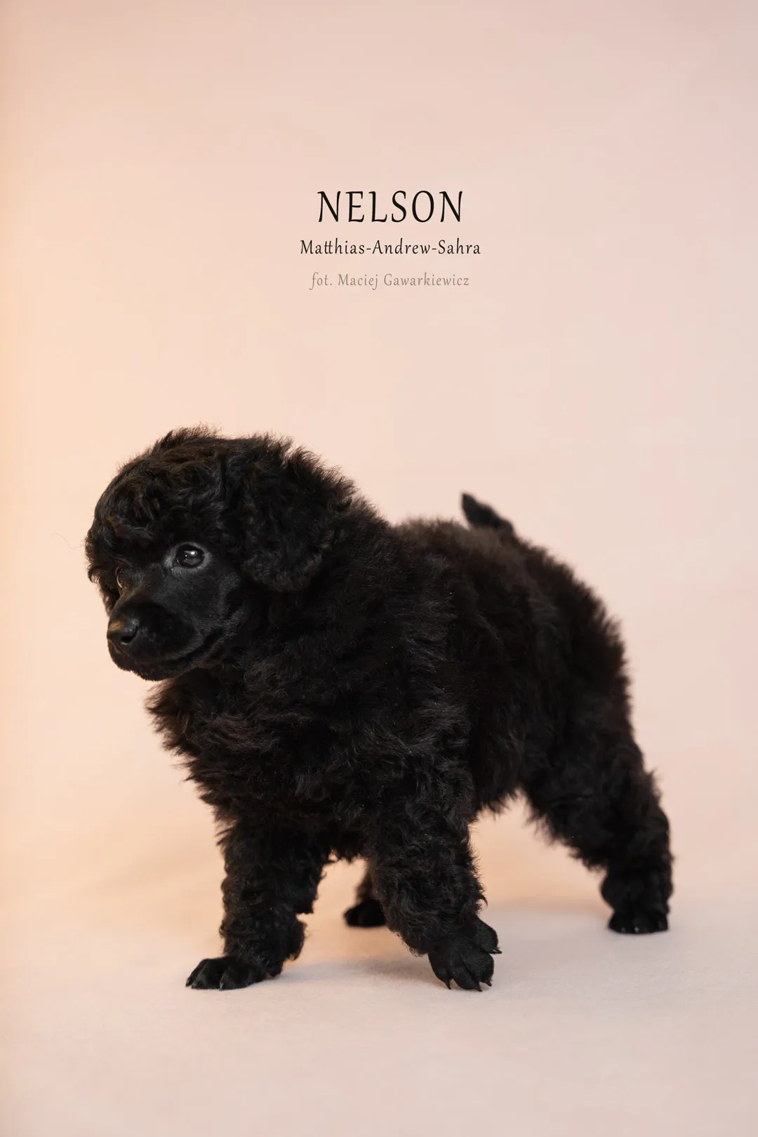 NELSON_07