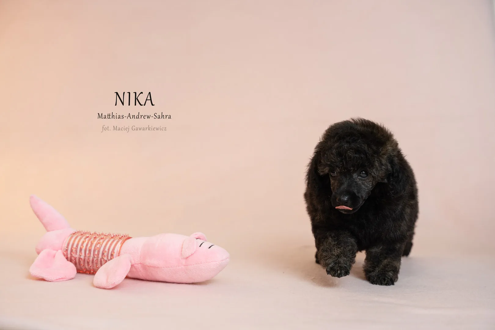 NIKA_07